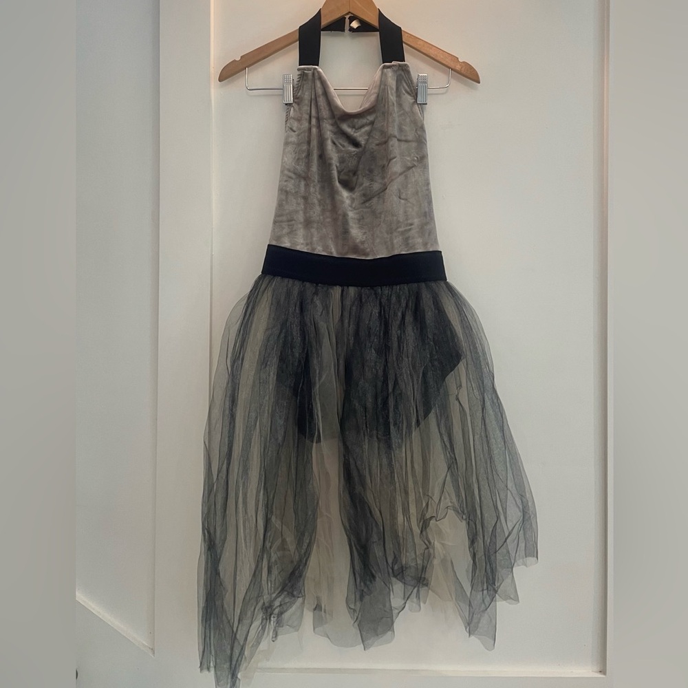 Velvet top and asymmetrical gray Tulle Dress costume
